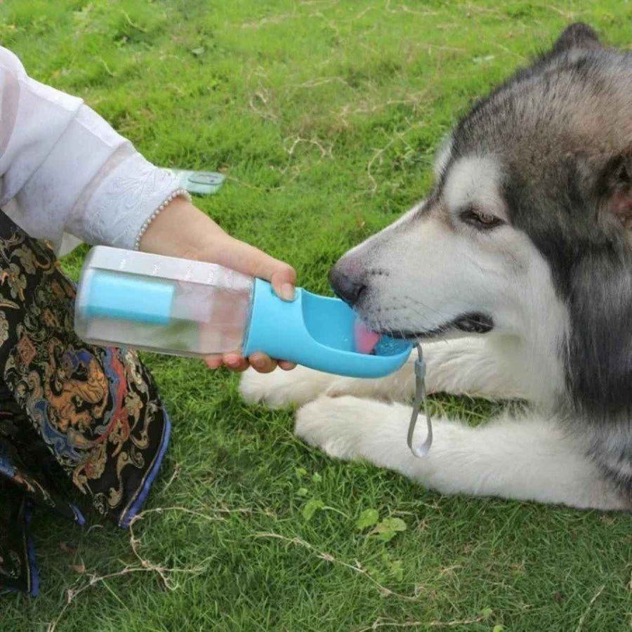 Trizzona™ TrailSip - Portable Water & Treat Bottle